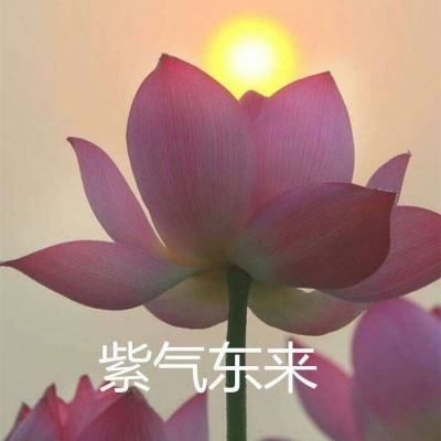 收纳小游戏免费下载安装